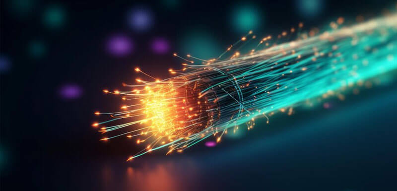 Fiber Connectivity